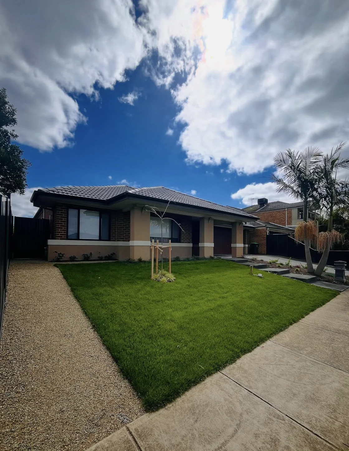 A front garden at Rowville with new lawn and planting