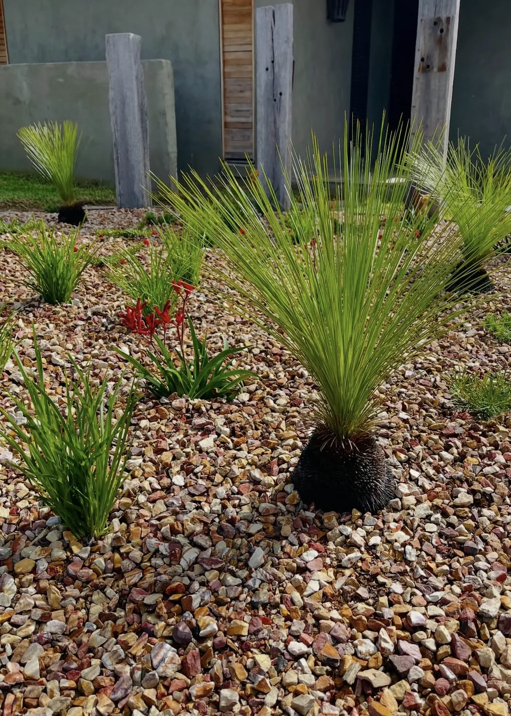 Ornamental grasses and planting in a pebble garden bed